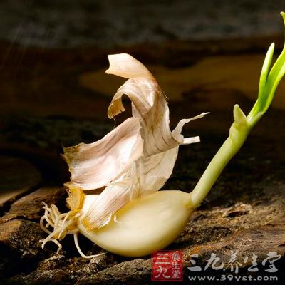 發芽大蒜抗氧化能力更強