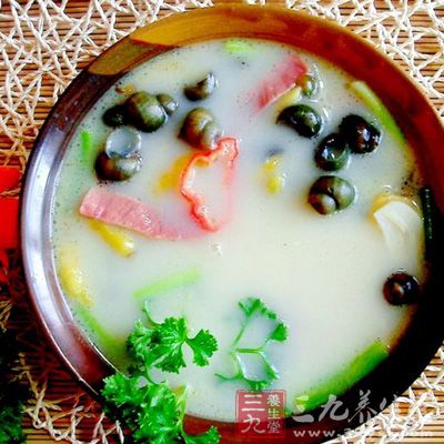 田螺養生湯