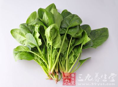 菠菜可以讓女性不貧血,體質強 菠菜可以讓女性不貧血,體質強