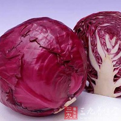 甘藍含鈣較高，是番茄的7倍