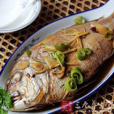 魚鳔是一種理想的高蛋白低脂肪食品