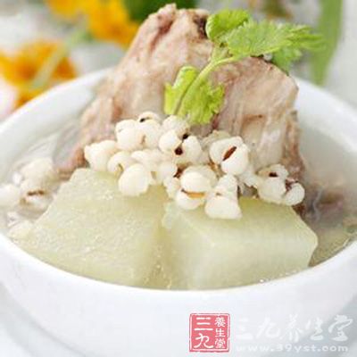 薏米冬瓜排骨湯