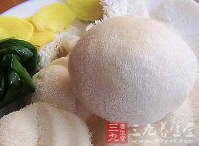 將干猴頭菇放入沸水鍋中焖約30分鐘取出,去蒂,擠干水,加入溫水中浸泡片刻,洗淨,瀝干水,順毛切成薄片; 將干猴頭菇放入沸水鍋中焖約30分鐘取出,去蒂,擠干水,加入溫水中浸泡片刻,洗淨,瀝干水,順毛切成薄片;
