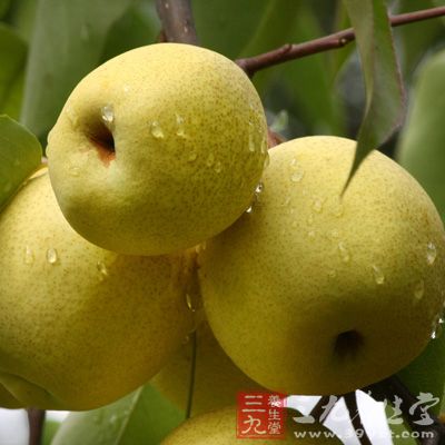 梨味甘性涼、微酸，具有清熱生津、潤肺化痰的功效
