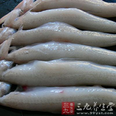 龍頭魚分別放在案板上,從背部入刀取出中骨,將內髒取出,把肉片下,撕去魚皮備用。 龍頭魚分別放在案板上,從背部入刀取出中骨,將內髒取出,把肉片下,撕去魚皮備用。