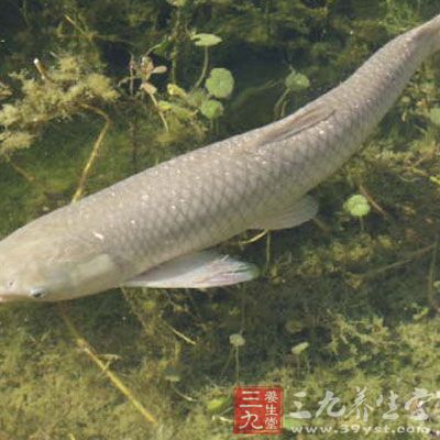 將魚片放入盆內，放入腌料包、料酒和姜片，土豆切片過涼水備用;