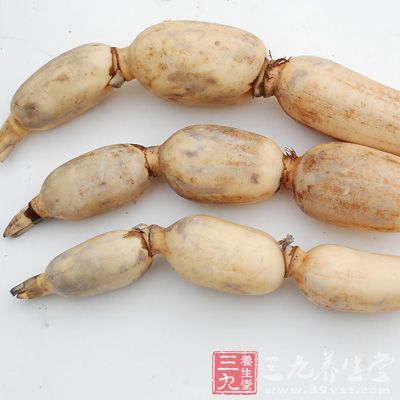 蓮藕能夠健脾益胃