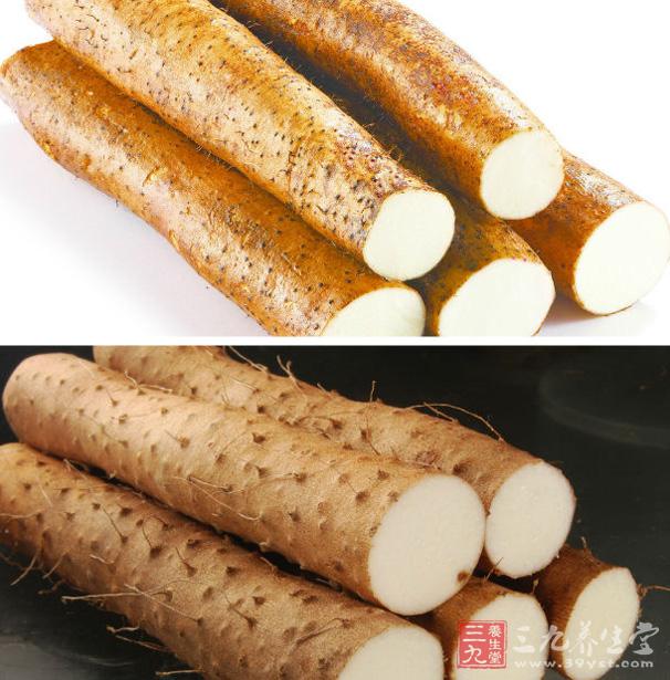 山藥的功效與作用