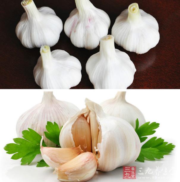 蒜頭含有硫化醣胺