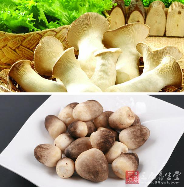 菇類食物