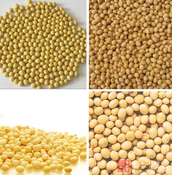 黃豆可以提高免疫力 黃豆可以提高免疫力