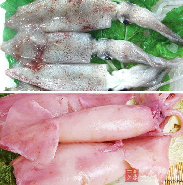 鱿魚可以增強免疫力 鱿魚可以增強免疫力