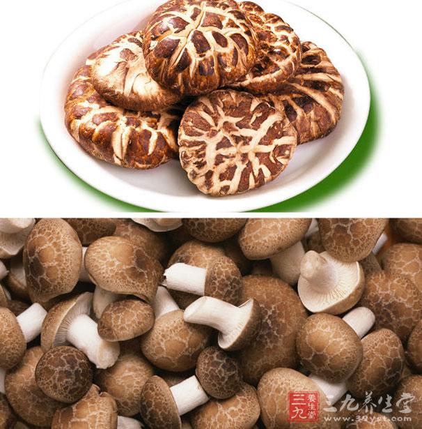 香菇可以增強免疫力 香菇可以增強免疫力