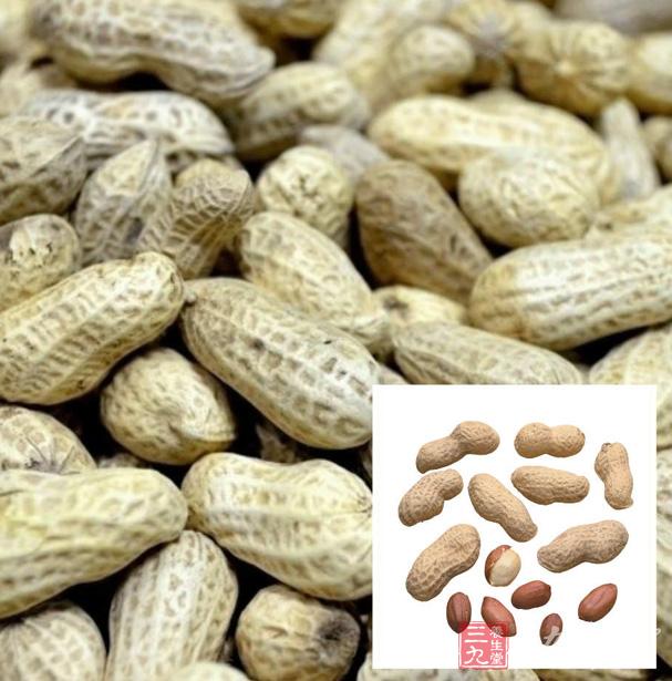 花生是高脂肪、高熱量的食物