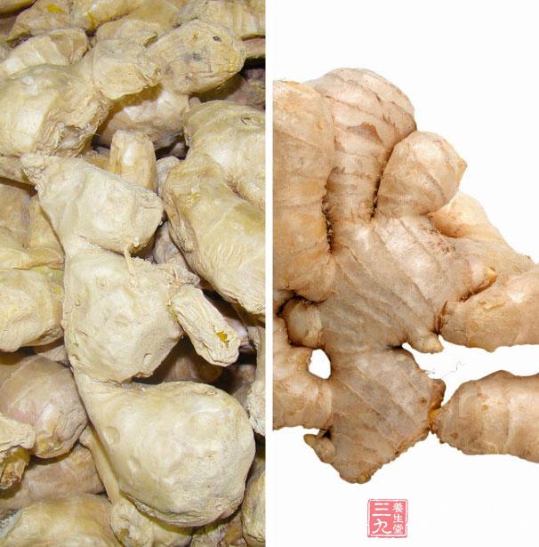 生姜增強免疫力 生姜增強免疫力