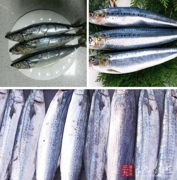 鲅魚可以提高免疫力 鲅魚可以提高免疫力