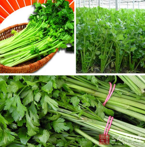 鮮芹菜汁芹菜200克洗干淨,用沸水燙2分鐘,切碎用紗布絞成汁,再用砂糖調服,每天2次(芹菜,能降血壓,平肝、鎮靜、解痙、止胃吐、利尿等,對眩暈頭痛病、顏面潮紅精神興奮的高血壓患者適用。 鮮芹菜汁芹菜200克洗干淨,用沸水燙2分鐘,切碎用紗布絞成汁,再用砂糖調服,每天2次(芹菜,能降血壓,平肝、鎮靜、解痙、止胃吐、利尿等,對眩暈頭痛病、顏面潮紅精神興奮的高血壓患者適用。