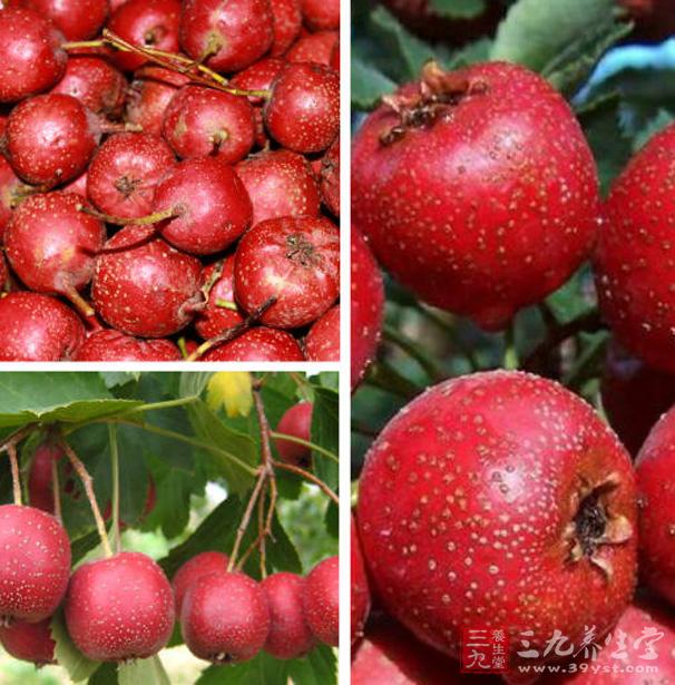 山楂30克，紅花15克，白酒250克，將上藥入酒中浸泡1周。視酒量大小，不醉為度。作用：活血化瘀。主治經來量少、紫黑有塊、腹痛、血塊排出後痛減。注意忌食生冷勿受寒涼。