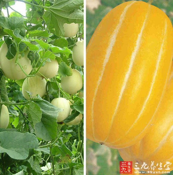 夏季養生小常識