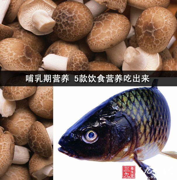 芙蓉鲫魚