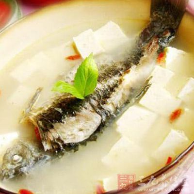 鲫魚豆腐湯很是下奶
