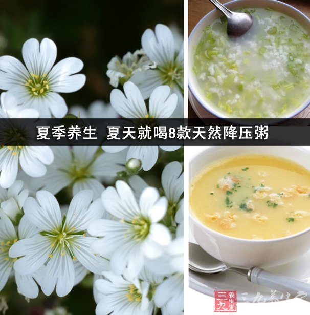 夏季養生 夏天就喝8款天然降壓粥
