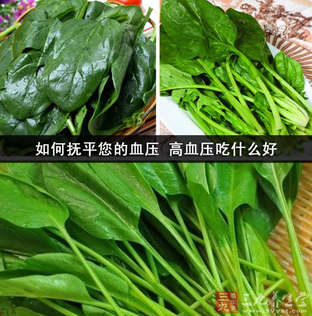 如何撫平您的血壓 高血壓吃什麼好