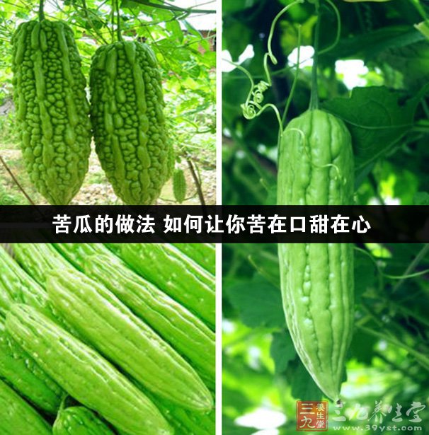 苦瓜的做法 如何讓你苦在口甜在心