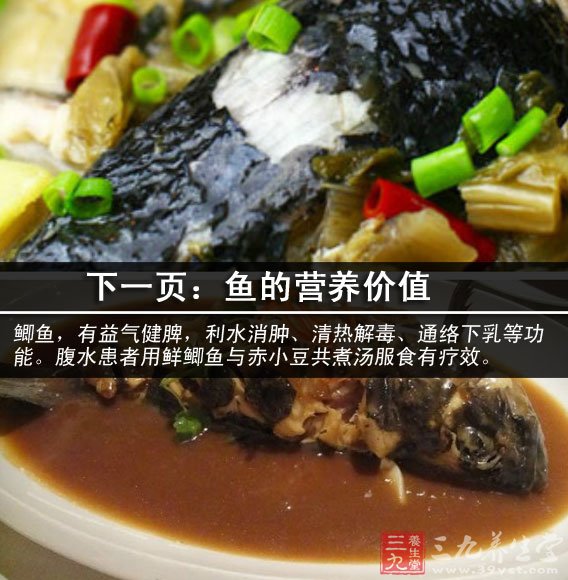 黑魚