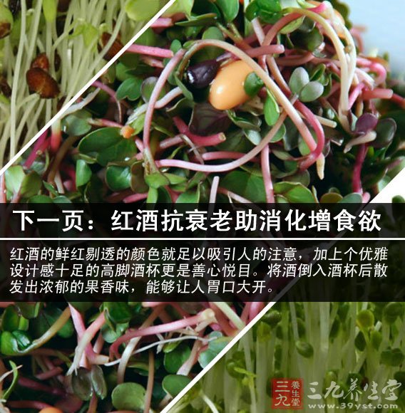 蘿卜