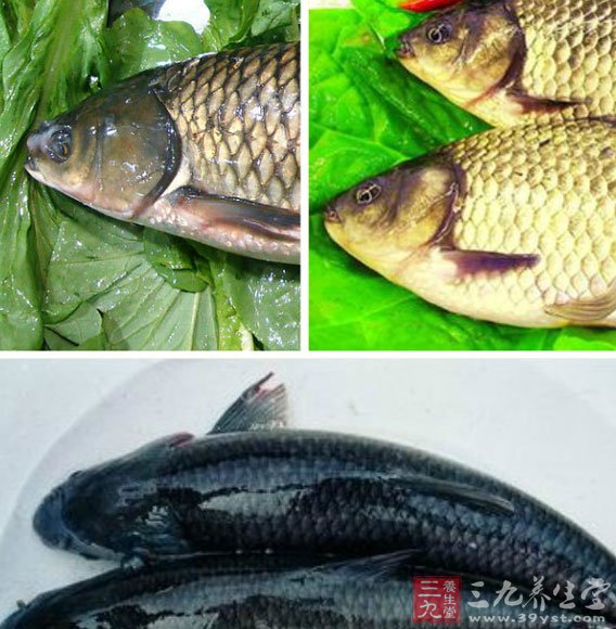 魚撈起