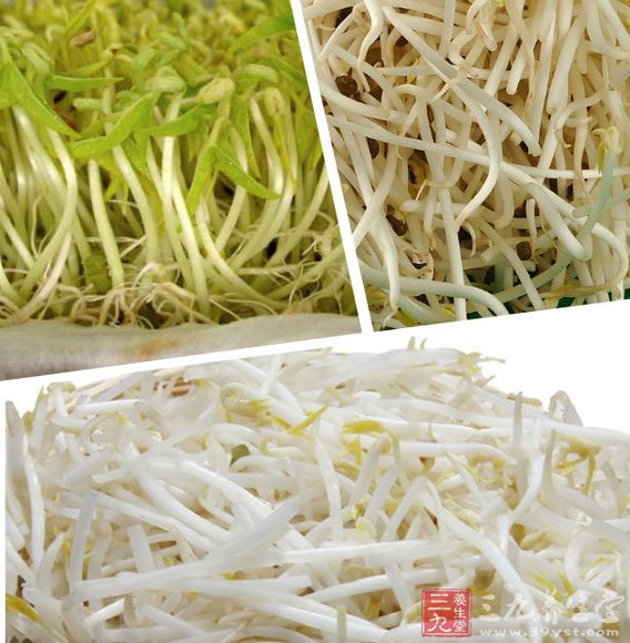 綠豆芽