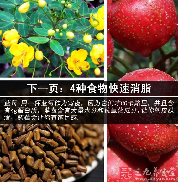 首烏山楂
