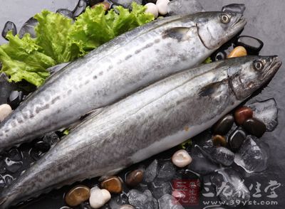 新鮮鲅魚去鰓去內髒收拾干淨