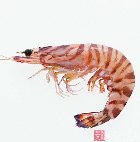 蝦的營養價值