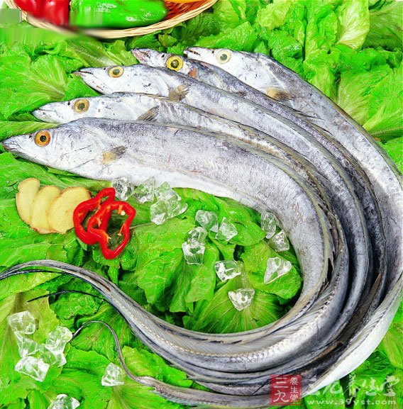 帶魚的營養價值