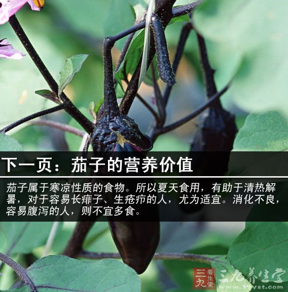 燒茄子