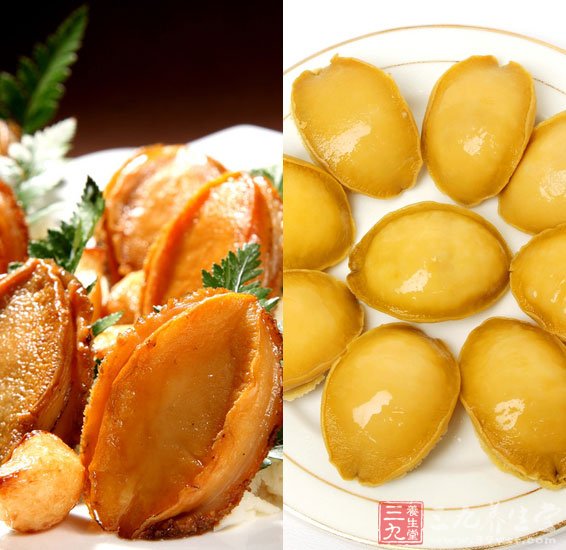鮑魚的營養價值