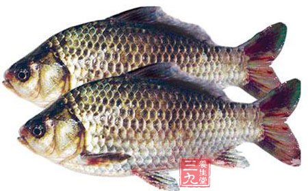 吃魚有助發育