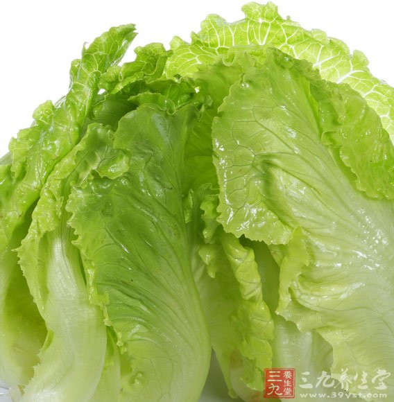 生菜