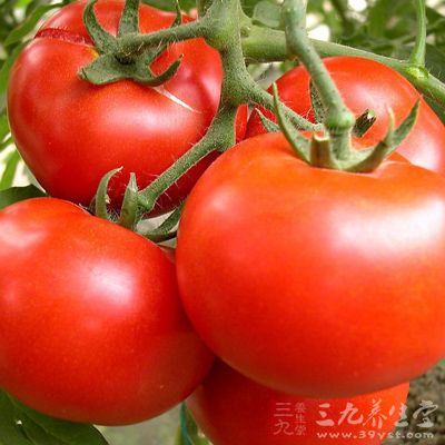 西紅柿既是美味果蔬，又是一種良藥