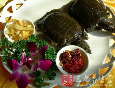 當它使勁翻身將脖子伸到最長時