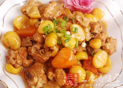 主治反胃不食洩瀉痢疾