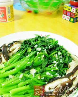 養生食譜 香菇的六大美味做法做法四