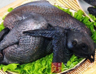 天麻炖烏雞