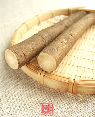 牛蒡是什麼