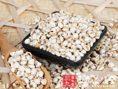 薏米飲食宜忌