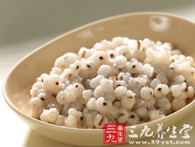 薏米的營養價值