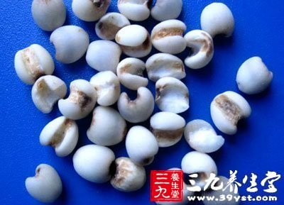 薏仁對子宮平滑肌有興奮作用，可促使子宮收縮，因而有誘發流產的可能
