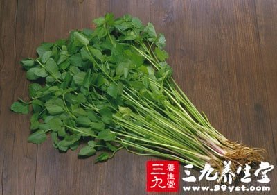 芹菜具有降血壓、降血脂、防治動脈粥樣硬化的作用